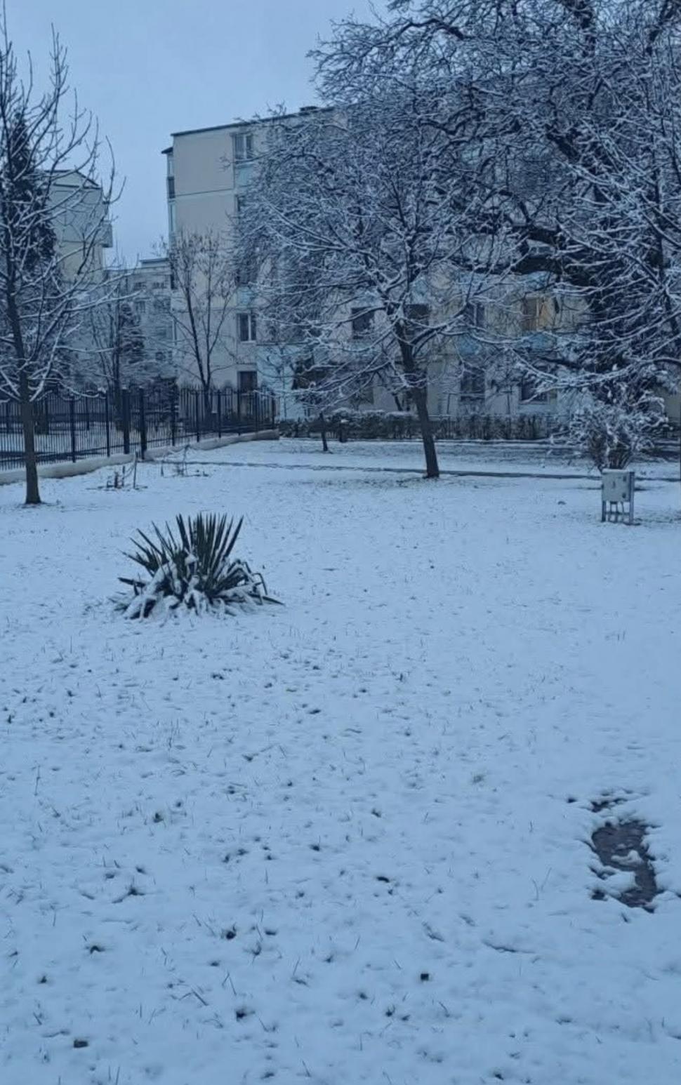 Prima ninsoare serioasă din acest sezon a scos utilajele de deszăpezire pe drumurile din mai multe județe 1024571