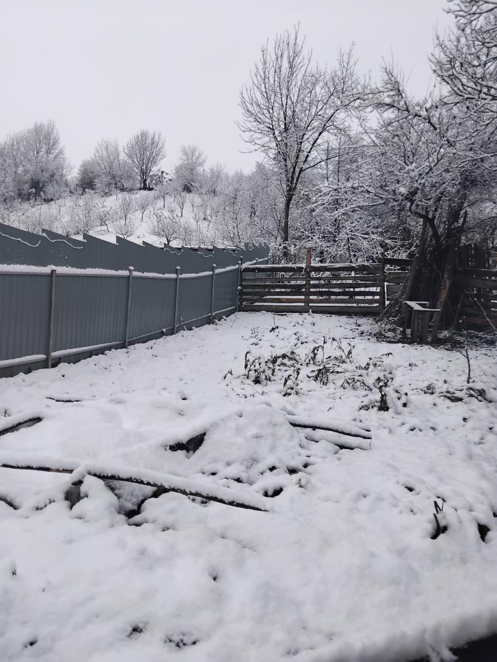 Prima ninsoare serioasă din acest sezon a scos utilajele de deszăpezire pe drumurile din mai multe județe 1024572