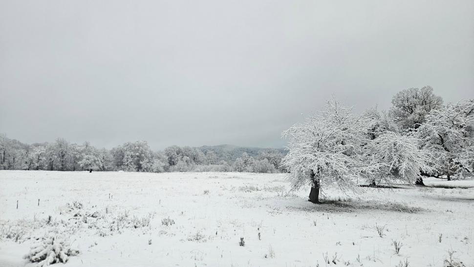 Prima ninsoare serioasă din acest sezon a scos utilajele de deszăpezire pe drumurile din mai multe județe 1024573