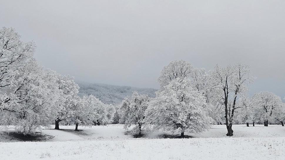 Prima ninsoare serioasă din acest sezon a scos utilajele de deszăpezire pe drumurile din mai multe județe 1024574
