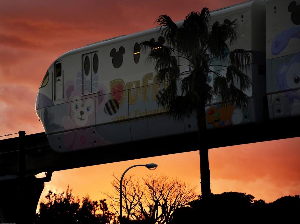 Primul oraș din România care ar putea avea tren suspendat. Proiectul, susținut cu finanțare europeană 1025204