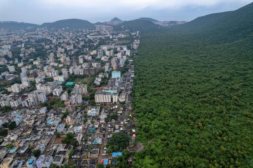 Un lup arctic la vânătoare, cimpanzeul tolănit și multe altele. Cele mai uimitoare imagini din natură premiate la Nature inFocus 2025 1025356