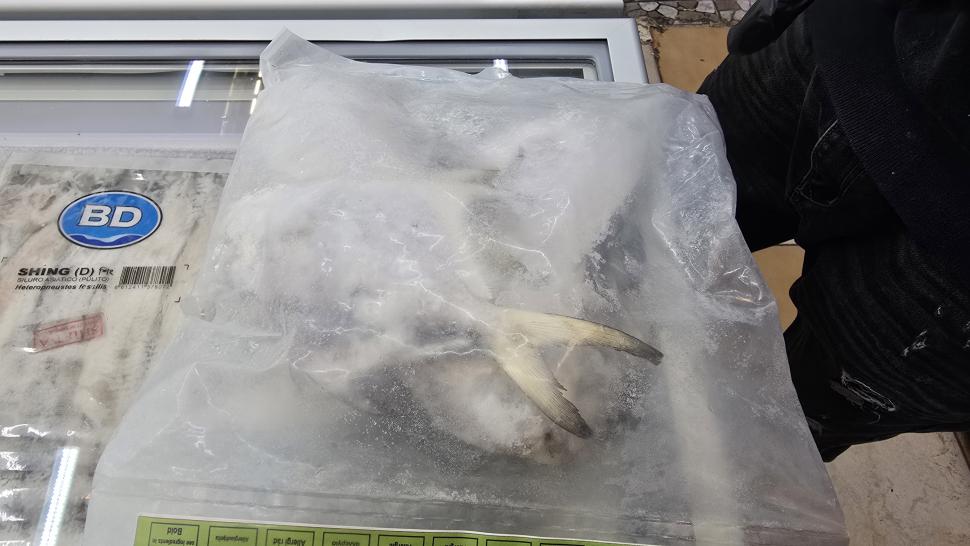 Magazinele neștiute din București unde se vând legume și fructe despre care nu știai că există. Plus pește Rohu 1025451