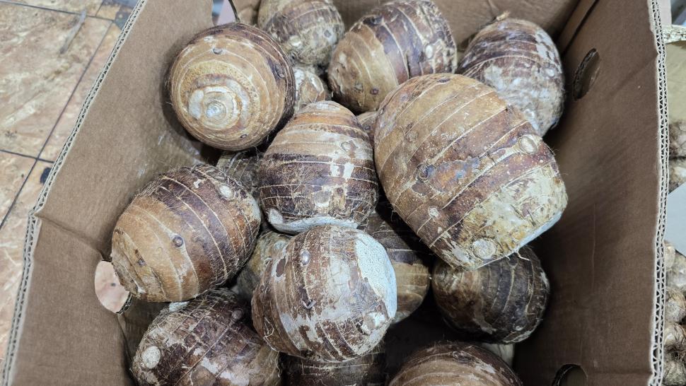 Magazinele neștiute din București unde se vând legume și fructe despre care nu știai că există. Plus pește Rohu 1025492