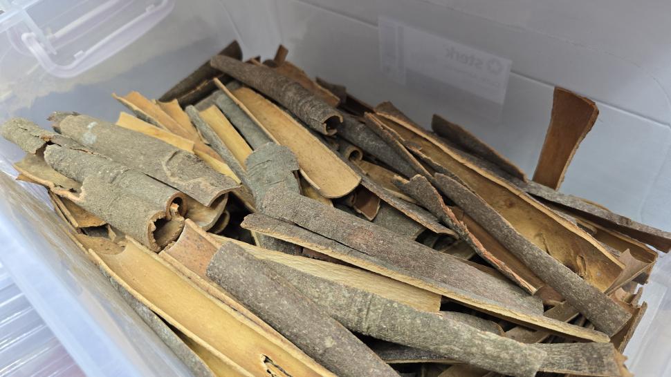 Magazinele neștiute din București unde se vând legume și fructe despre care nu știai că există. Plus pește Rohu 1025498