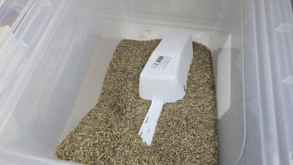 Magazinele neștiute din București unde se vând legume și fructe despre care nu știai că există. Plus pește Rohu 1025500