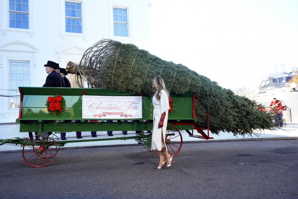 Melania Trump a primit singură bradul de Crăciun la Casa Albă. Președintele SUA era la telefon cu Xi Jinping 1026036