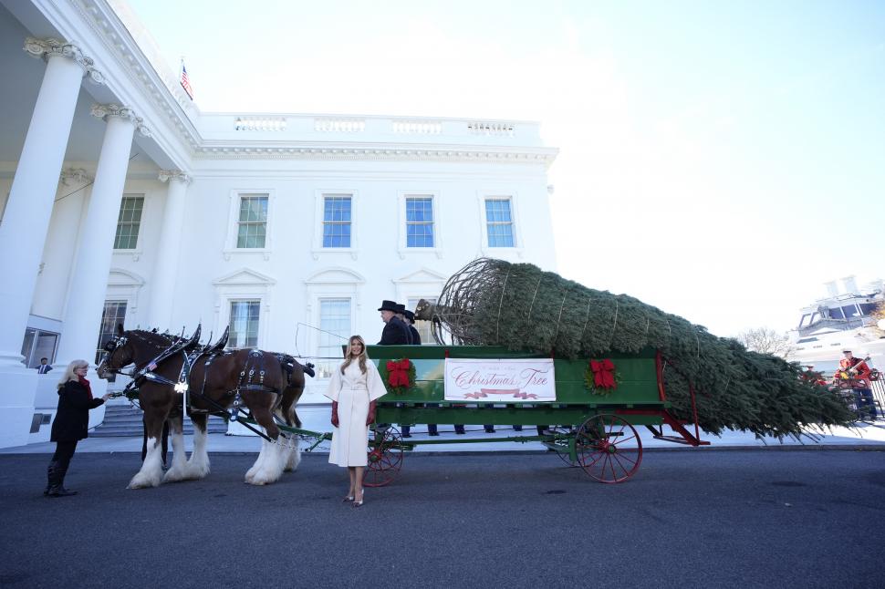 Melania Trump a primit singură bradul de Crăciun la Casa Albă. Președintele SUA era la telefon cu Xi Jinping 1026043