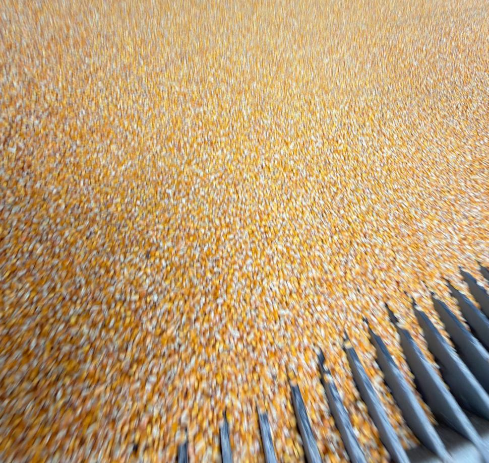 Grupul Carmistin relansează transportul feroviar de cereale după trei decenii. "Am evitat o emisie de 2.542 kg dioxid de carbon" 1026510