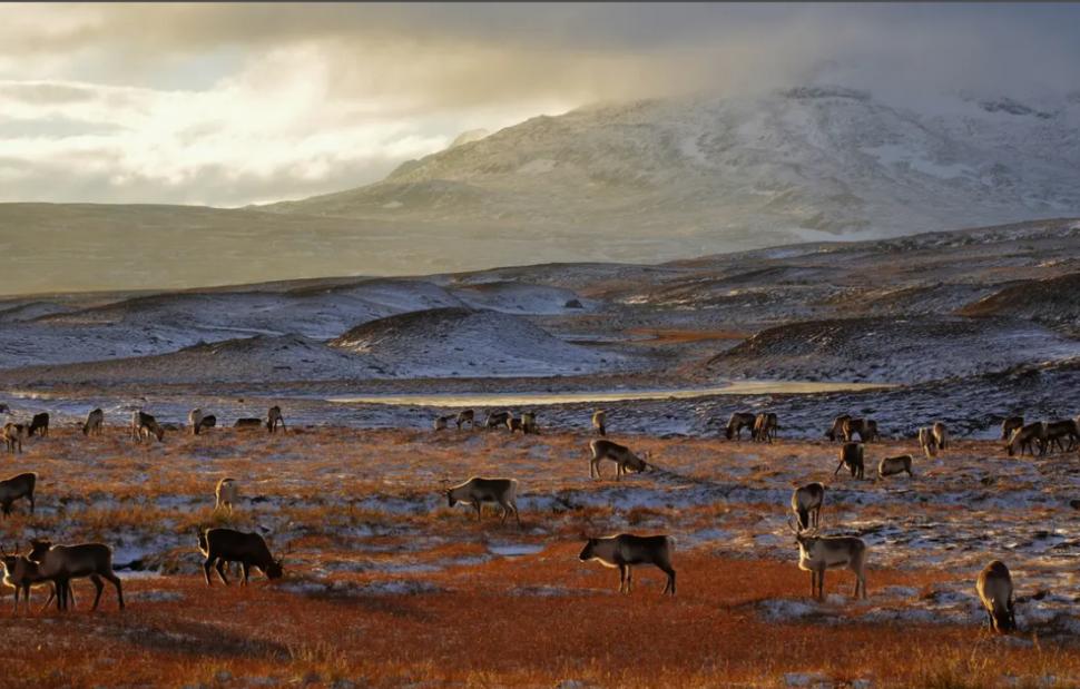 „Plictisește-te cât vrei”. O țară din Europa atrage turiștii cu promisiunea că acolo nu au parte de experiențe extravagante 1026909