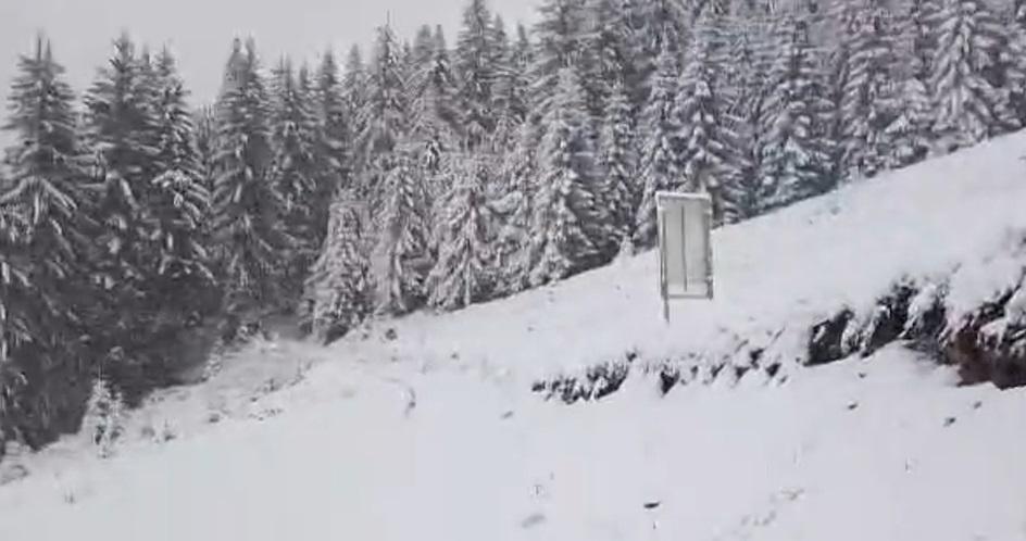 Imagini din stațiunea Straja, unde ninge și stratul de zăpadă a ajuns la 10 centimetri 1027568