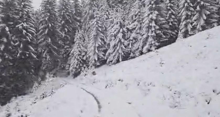 Imagini din stațiunea Straja, unde ninge și stratul de zăpadă a ajuns la 10 centimetri 1027570