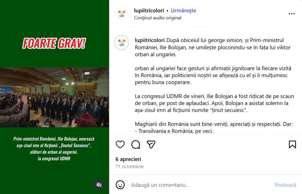 Cine sunt Lupii Tricolori și de ce nu îl plac pe Georgescu. Incidentul de la Alba și profilul unui grup care „își ia tricolorul înapoi” 1027790