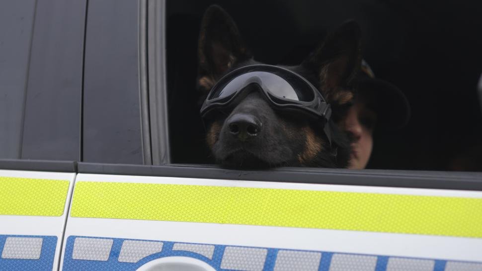 Imagini inedite cu parada din 1 decembrie 2025 de la București: Peste 3.000 de militari români și străini au defilat la Arcul de Triumf 1027839