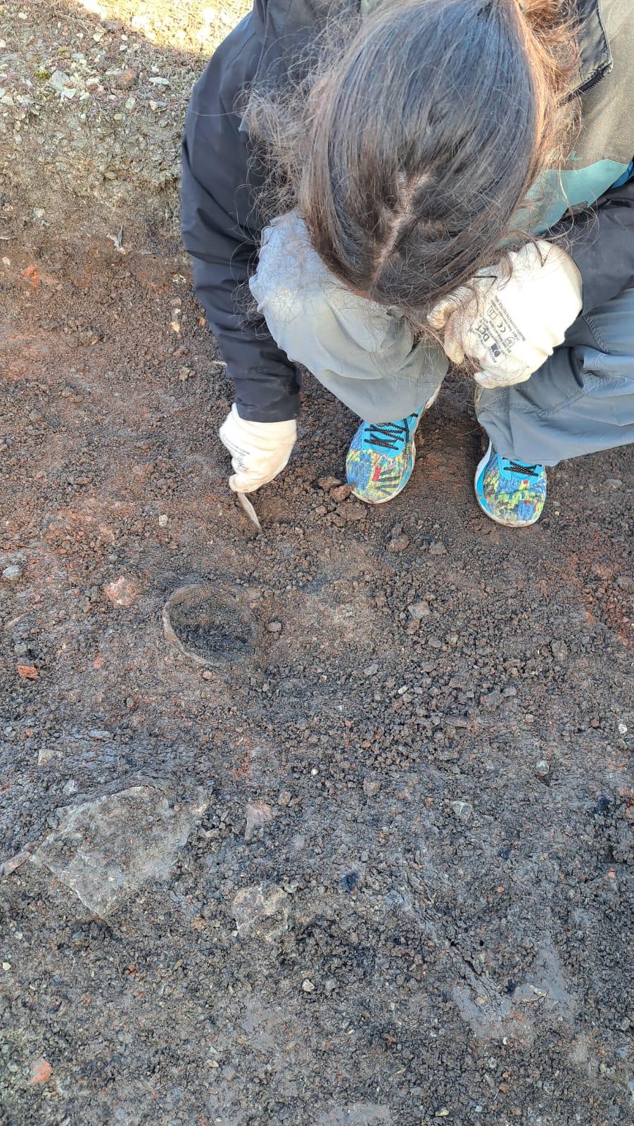 Noile descoperiri arheologice de la Cetatea Zânelor şi Dâmbul Cetăţii oferă detalii despre organizarea aşezărilor preistorice şi dacice 1029303