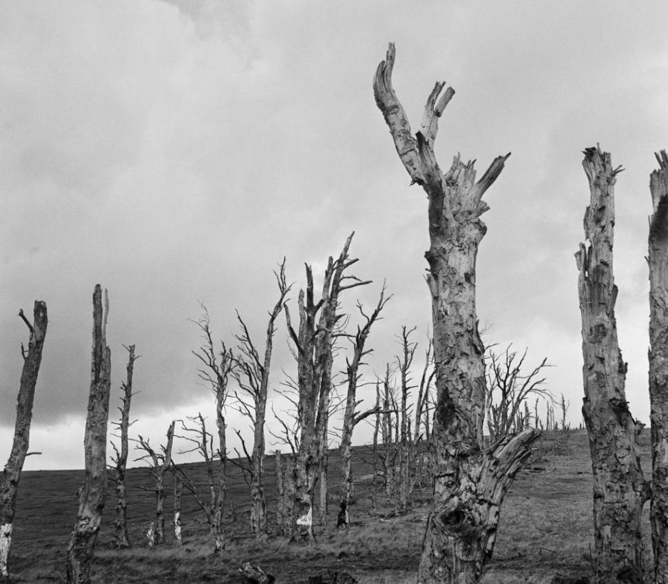 Satul fantomă, izolat de restul lumii în 1943, va fi deschis acum doar pentru 4 zile, ca să fie vizitat. Fascinanta poveste a lui Imber 1029165
