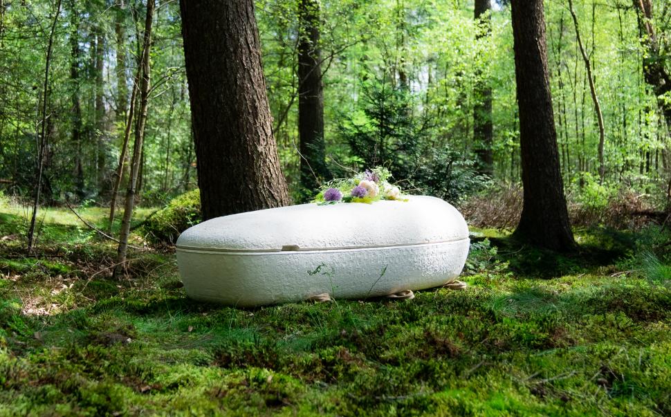 Noua „modă” la înmormântări: Primul sicriu 100% biodegradabil din lume făcut din ciuperci. Se cultivă în 7 zile și arată ca un cocon 1029275