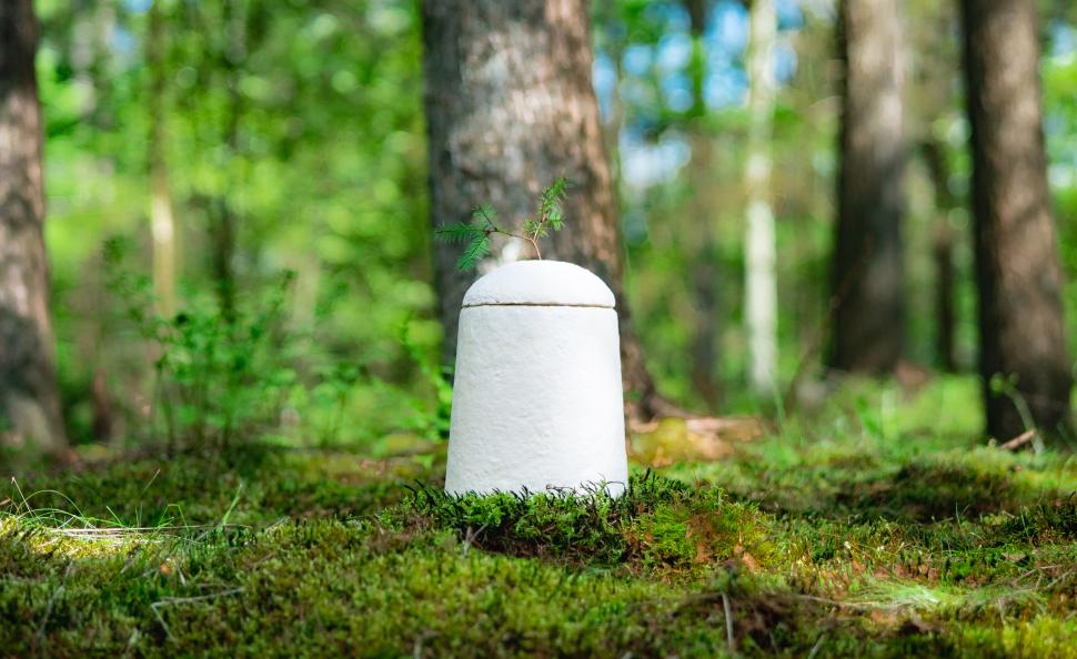 Noua „modă” la înmormântări: Primul sicriu 100% biodegradabil din lume făcut din ciuperci. Se cultivă în 7 zile și arată ca un cocon 1029278