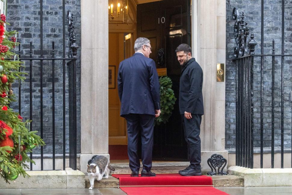 „Lăsați-l să intre, e frig”. Motanul Larry, vedeta zilei la întâlnirea aliaților cu Zelenski. A fost mai fotografiat decât Macron 1029946