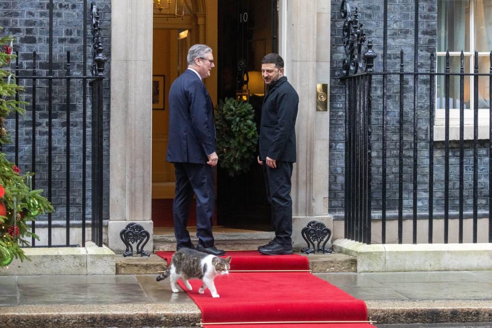 „Lăsați-l să intre, e frig”. Motanul Larry, vedeta zilei la întâlnirea aliaților cu Zelenski. A fost mai fotografiat decât Macron 1029947