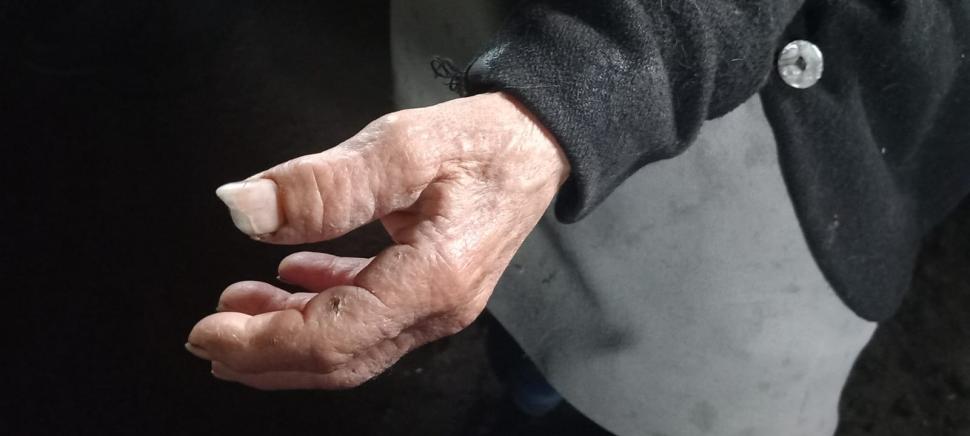 Reportaj în Ținutul Pădurenilor. În satul cu mai puțin de 100 de oameni, tanti Teleu își dorește doar portocale și pufarine de Crăciun 1030245