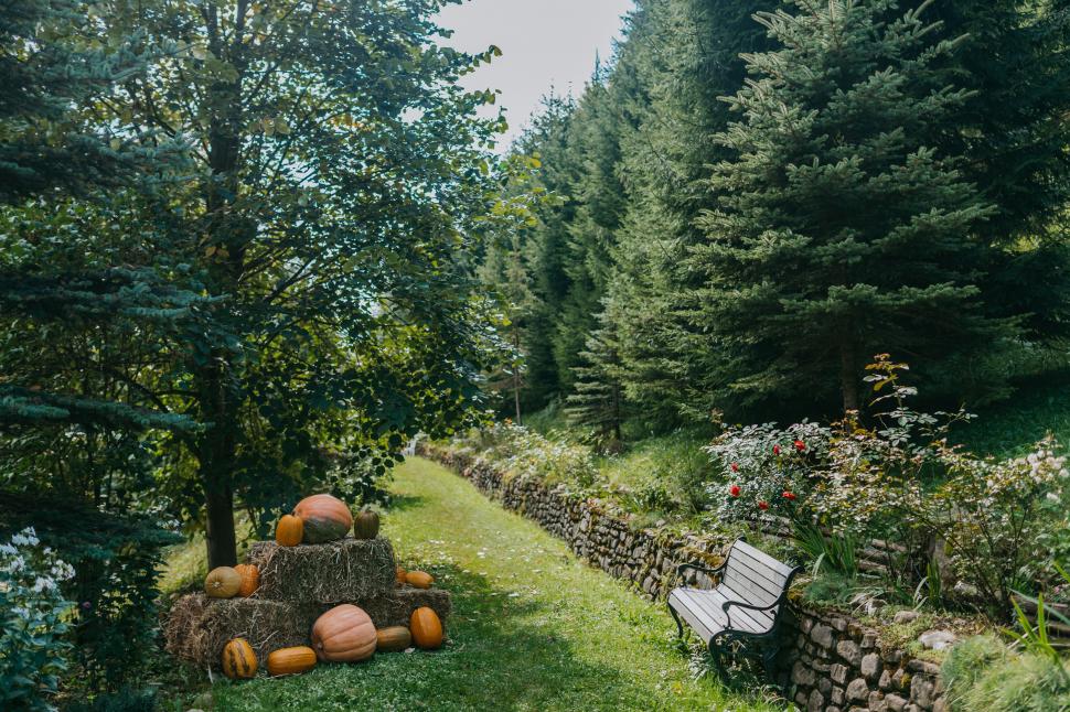 Un fost pavilion de vânătoare al lui Ceaușescu e scos la vânzare cu un preț de pornire uriaș. Cum arată după ce a fost restaurat 1030041