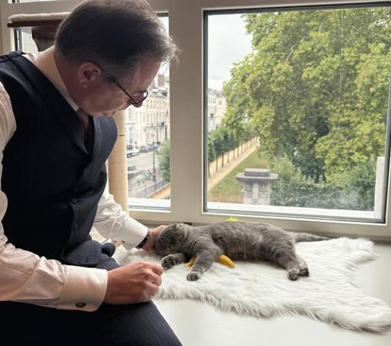 După Larry, a venit rândul lui Maximus. Și premierul belgian are un motan, aproape la fel de popular ca el pe Instagram 1031042