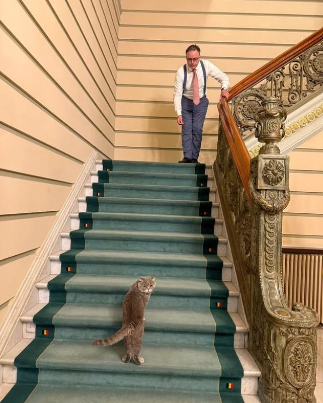 După Larry, a venit rândul lui Maximus. Și premierul belgian are un motan, aproape la fel de popular ca el pe Instagram 1031043