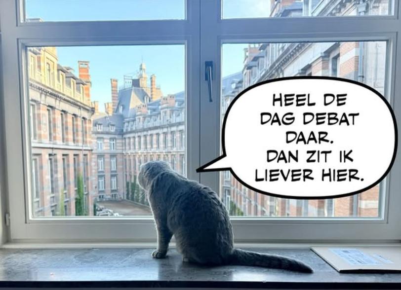 După Larry, a venit rândul lui Maximus. Și premierul belgian are un motan, aproape la fel de popular ca el pe Instagram 1031044