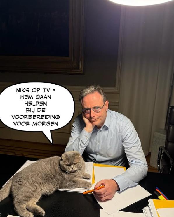 După Larry, a venit rândul lui Maximus. Și premierul belgian are un motan, aproape la fel de popular ca el pe Instagram 1031047