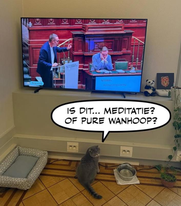 După Larry, a venit rândul lui Maximus. Și premierul belgian are un motan, aproape la fel de popular ca el pe Instagram 1031048