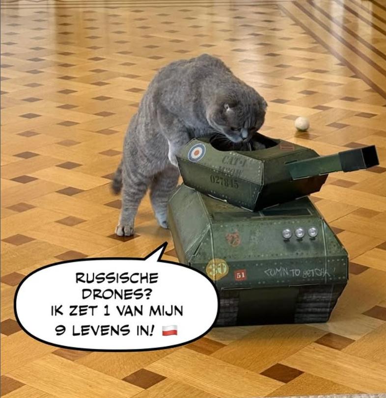 După Larry, a venit rândul lui Maximus. Și premierul belgian are un motan, aproape la fel de popular ca el pe Instagram 1031049