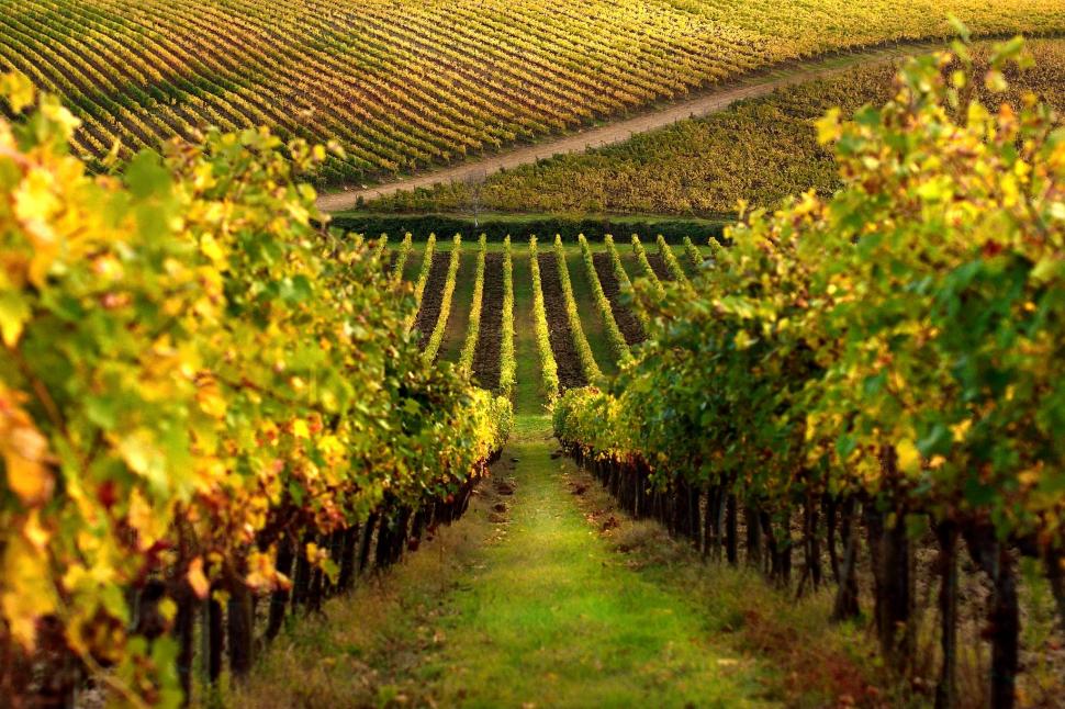 Un pitoresc oraș medieval de lângă Florența dă 400.000 de euro celor care vor să se mute acolo. Casele sunt frumoase și îngrijite 1030913