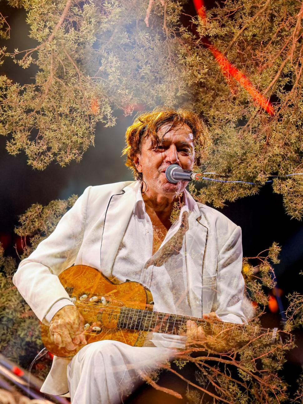 Un festival din Timișoara a intrat în Top 10 din Europa. Peste 100.000 de oameni au fost la CODRU Festival în 2025  1030745