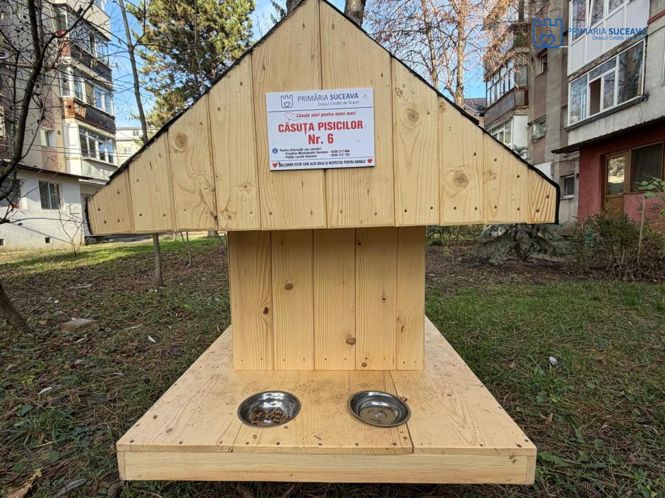 În Suceava, primăria a făcut căsuțe pentru pisicile fără adăpost, iar oamenii au pus pături și hrană: „Primele pisici s-au cazat deja” 1032110