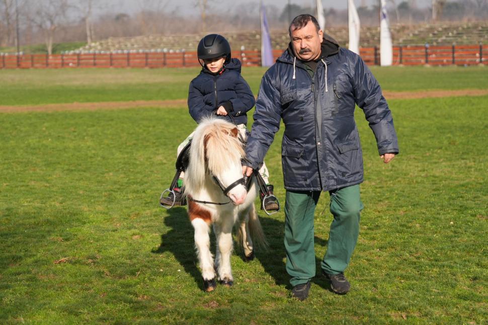 În Parcul Romanescu din Craiova a fost inaugurată Valea Ciutelor, zonă dedicată căprioarelor și alpaca. Vizitatorii pot hrăni animalele 1032841