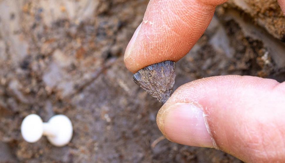 O descoperire arheologică schimbă ce știam despre primul foc aprins de oameni: „Aurul prostului” a fost găsit într-un loc neașteptat 1030965