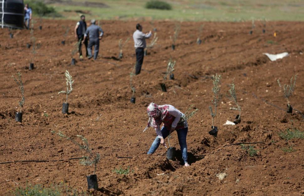Cel mai jos oraș din lume. Este construit la peste 250 de metri sub nivelul mării 1032332