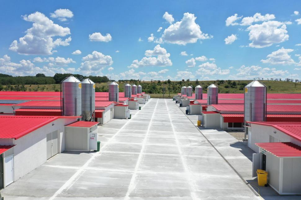 Carmistin The Food Company și-a asigurat o finanțare de circa 500 milioane euro, pentru a continua investițiile 1033253