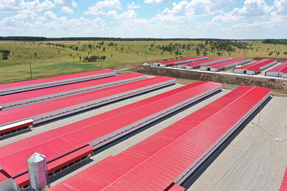 Carmistin The Food Company și-a asigurat o finanțare de circa 500 milioane euro, pentru a continua investițiile 1033257