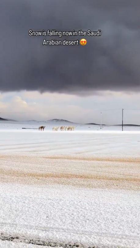 Peisaj de iarnă istoric în Arabia Saudită: a nins în deșert pentru prima dată în ultimii 30 de ani. Oamenii s-au dat cu sania 1033121