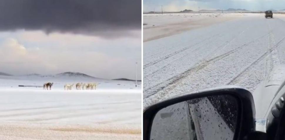 Peisaj de iarnă istoric în Arabia Saudită: a nins în deșert pentru prima dată în ultimii 30 de ani. Oamenii s-au dat cu sania 1033124