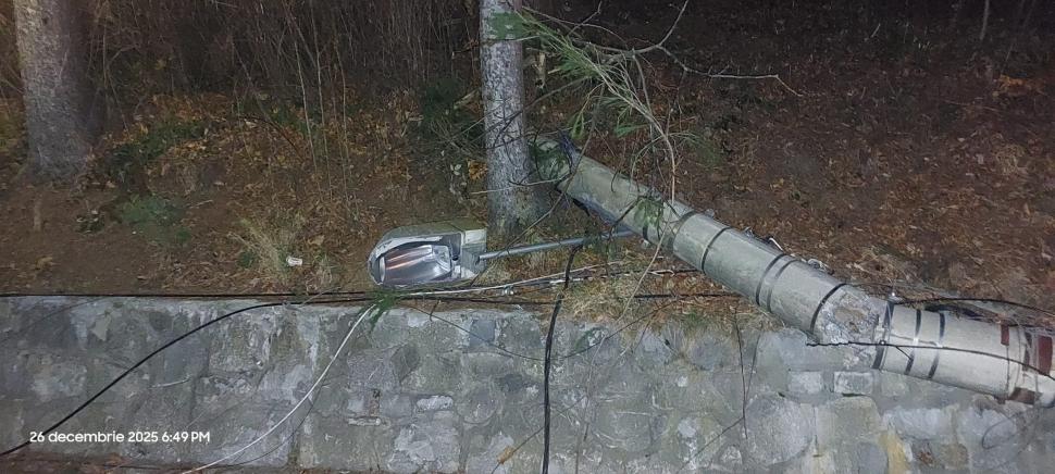 Sinaia: Copaci căzuți peste mașini și stâlpi de electricitate din cauza vântului puternic 1034166