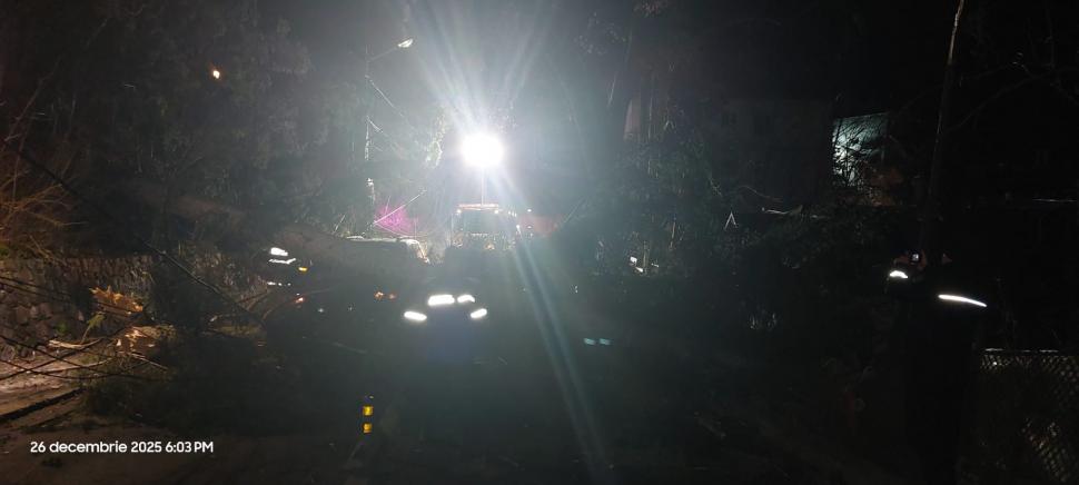 Sinaia: Copaci căzuți peste mașini și stâlpi de electricitate din cauza vântului puternic 1034168