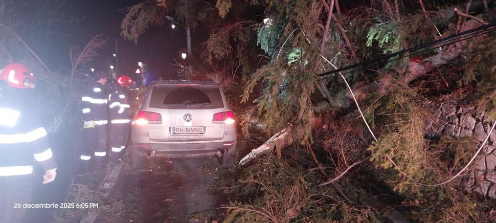 Sinaia: Copaci căzuți peste mașini și stâlpi de electricitate din cauza vântului puternic 1034171