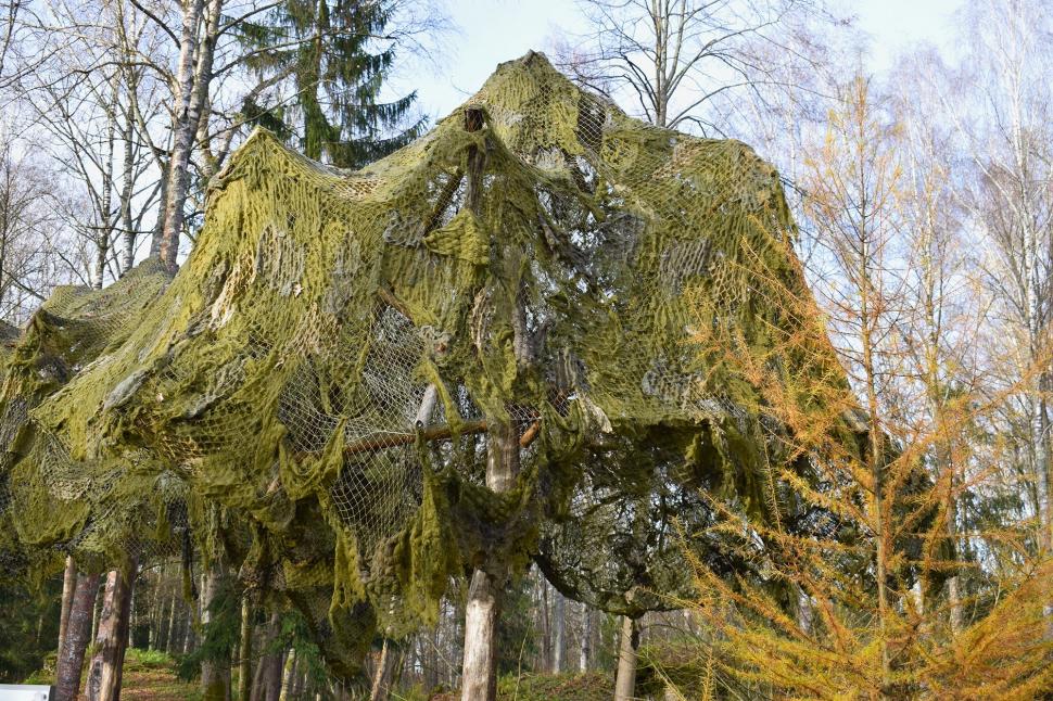 În Bârlogul Lupului, locul din care Hitler a condus războiul împotriva Rusiei. Buncărele ascunse în pădure încă pot fi vizitate 1034182