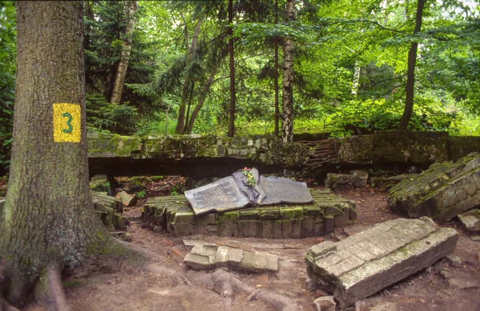 În Bârlogul Lupului, locul din care Hitler a condus războiul împotriva Rusiei. Buncărele ascunse în pădure încă pot fi vizitate 1034190