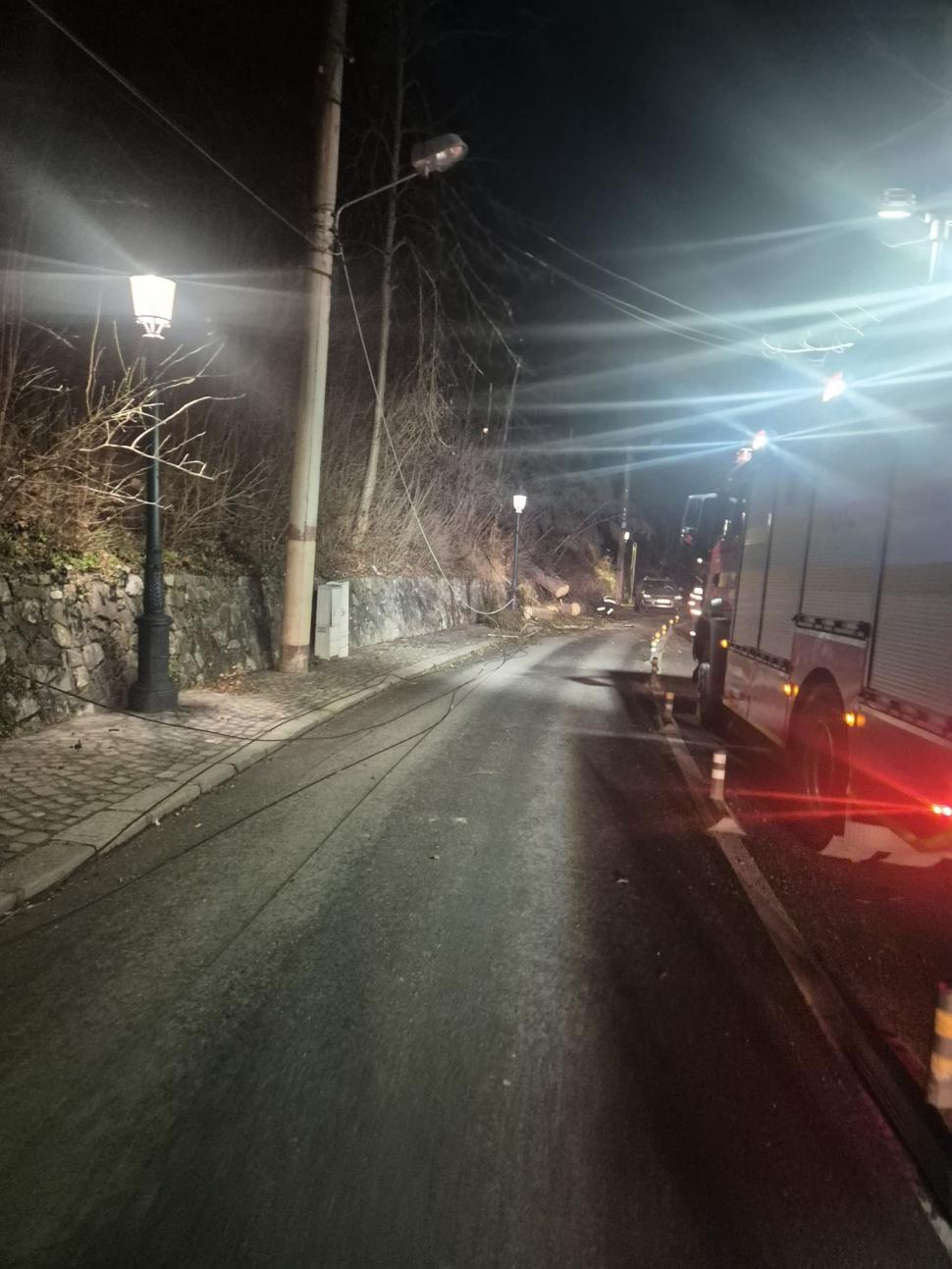 Pericol în Sinaia. Vântul bate cu peste 100 de km/h, cad copaci şi stâlpi. Apel către populație, să stea în case 1034271