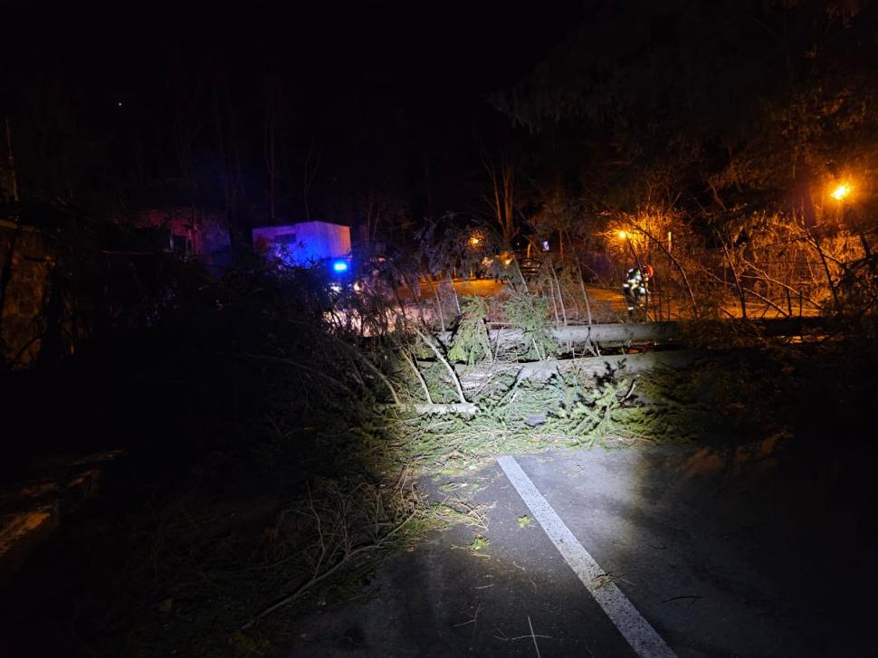 Pericol în Sinaia. Vântul bate cu peste 100 de km/h, cad copaci şi stâlpi. Apel către populație, să stea în case 1034272