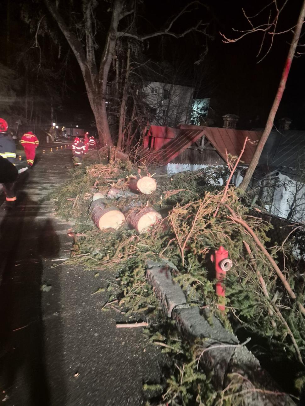 Pericol în Sinaia. Vântul bate cu peste 100 de km/h, cad copaci şi stâlpi. Apel către populație, să stea în case 1034273